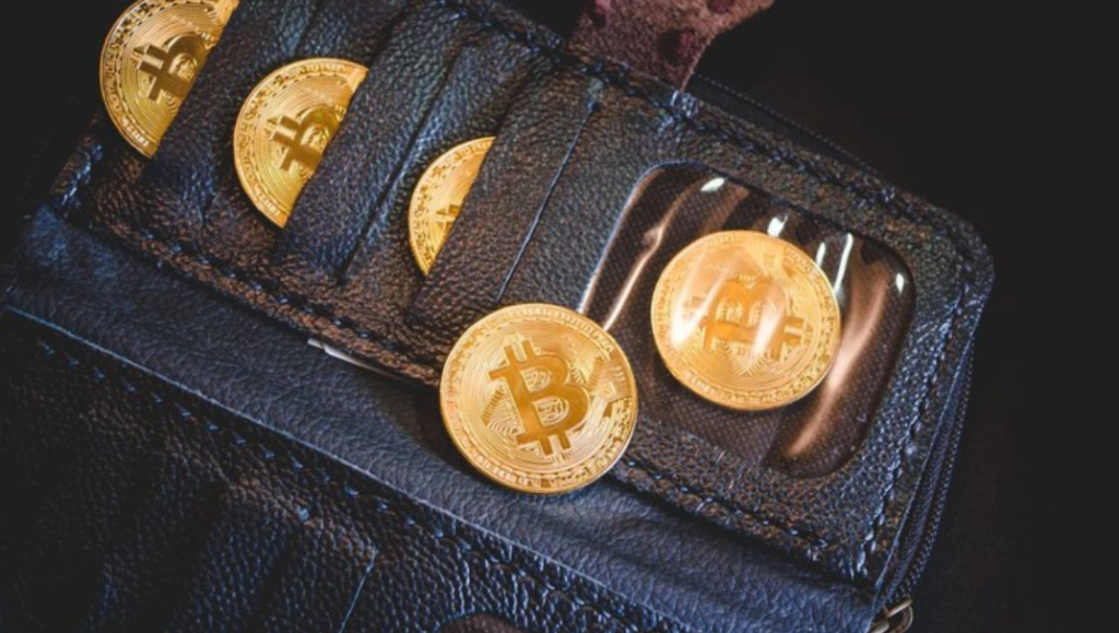ecrypto1.com Crypto Wallets
