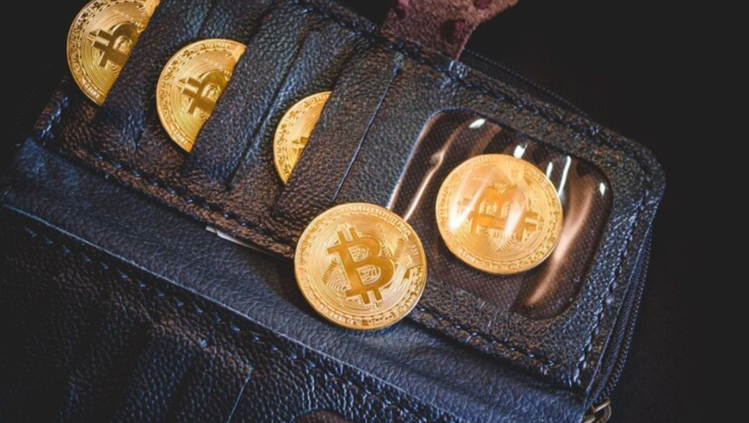 ecrypto1.com Crypto Wallets