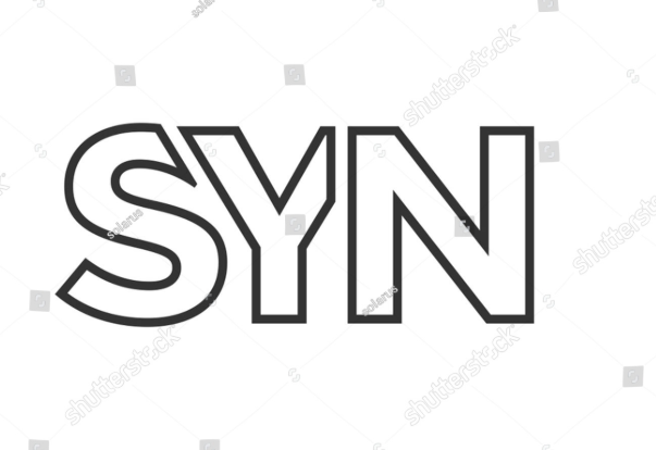 syn stock